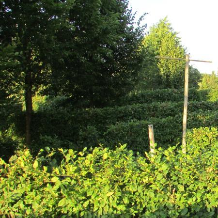 MHM - Mattigtaler Heckenlabyrinth der Menschenrechte