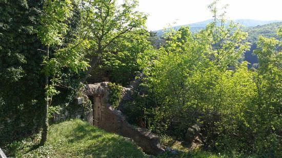 Burgruine Rauheneck