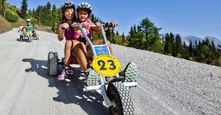 Berg Gokart
