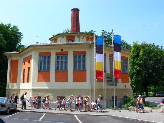 MuWa - Museum der Wahrnehmung