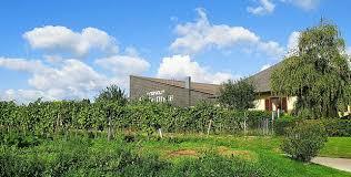 Weingut Elfenhof