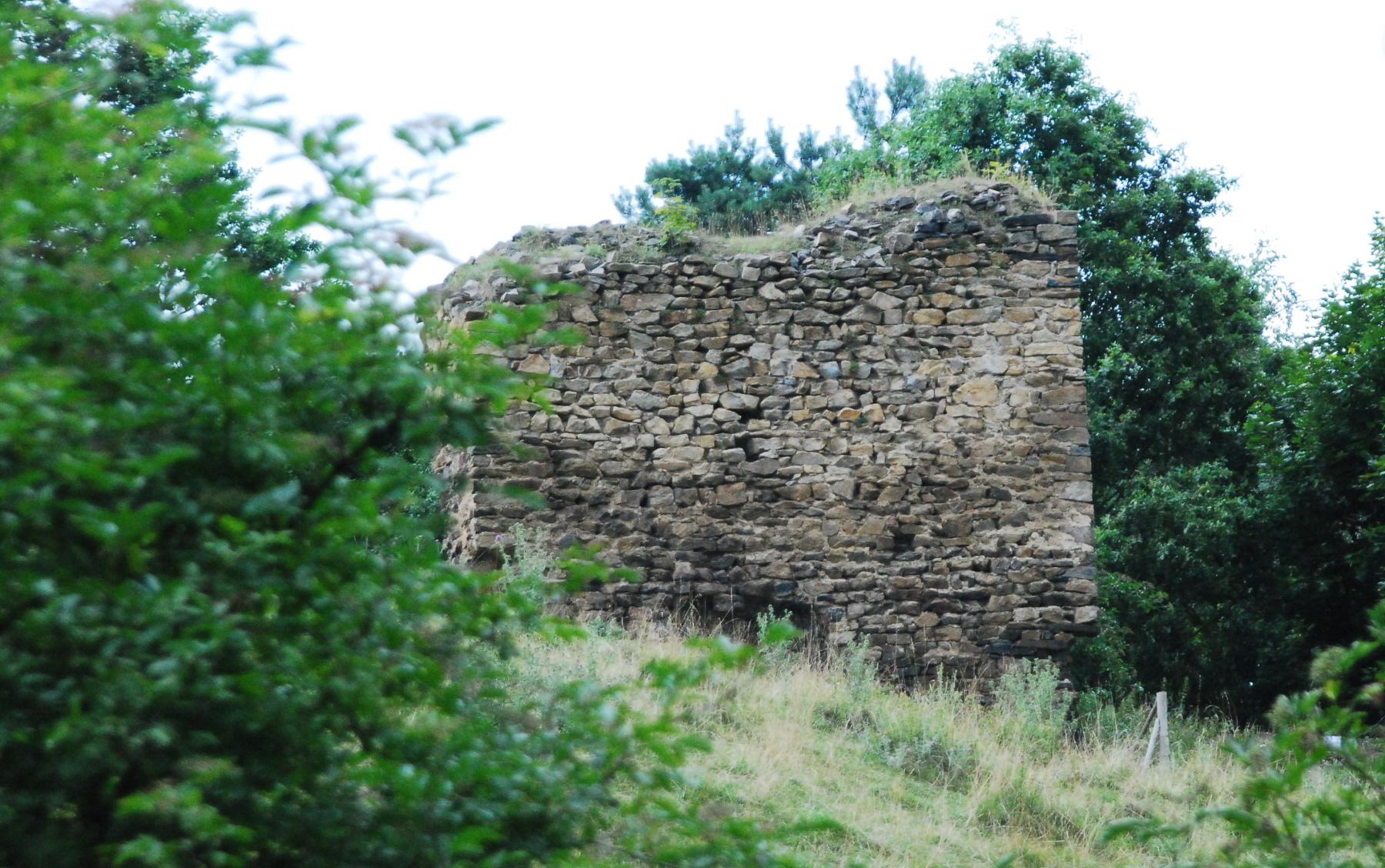 Burg Weikertschlag