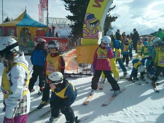 Skischule Optimal