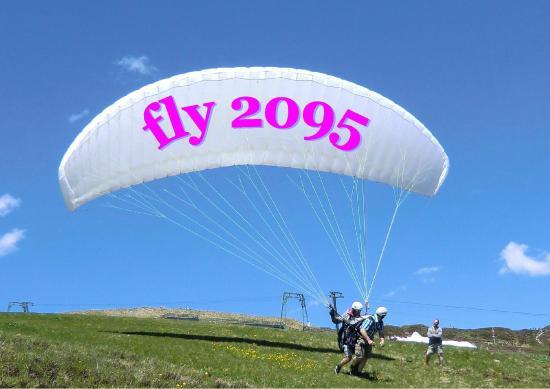 Fly 2095