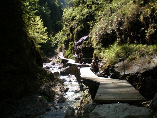 Griesbachklamm