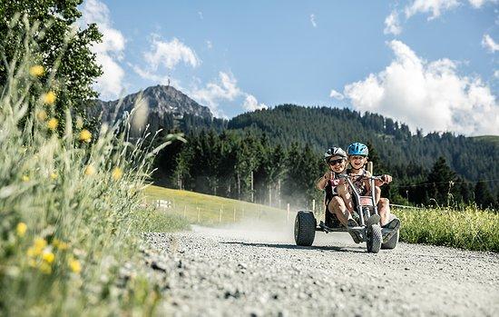 Mountaincart