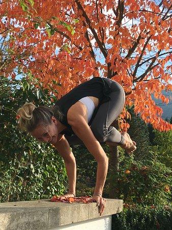 OM&CO Yoga