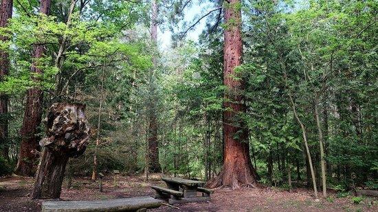Goettweiger Walderlebniswelt