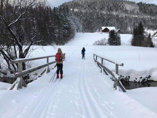 Langlaufloipen Faistenau