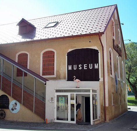 Vanni's Vogelwelt
