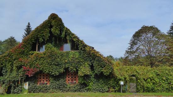 Rauch-Hof